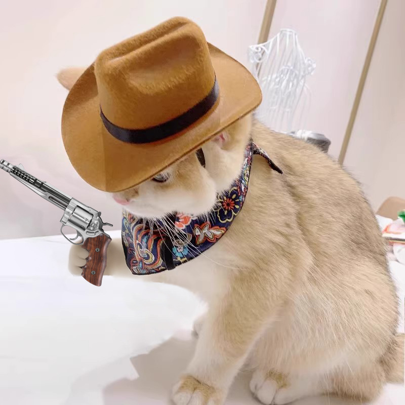    고양이 카우보이 모자 애완 동물 머리 액세서리  - Cowboy Hat Straw 리뷰 및 가격